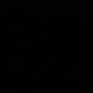 Meet your Posher, Claudia